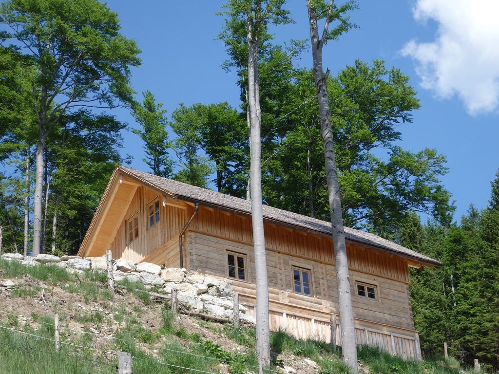 Sportlerhof Apartment Gruenau im Almtal